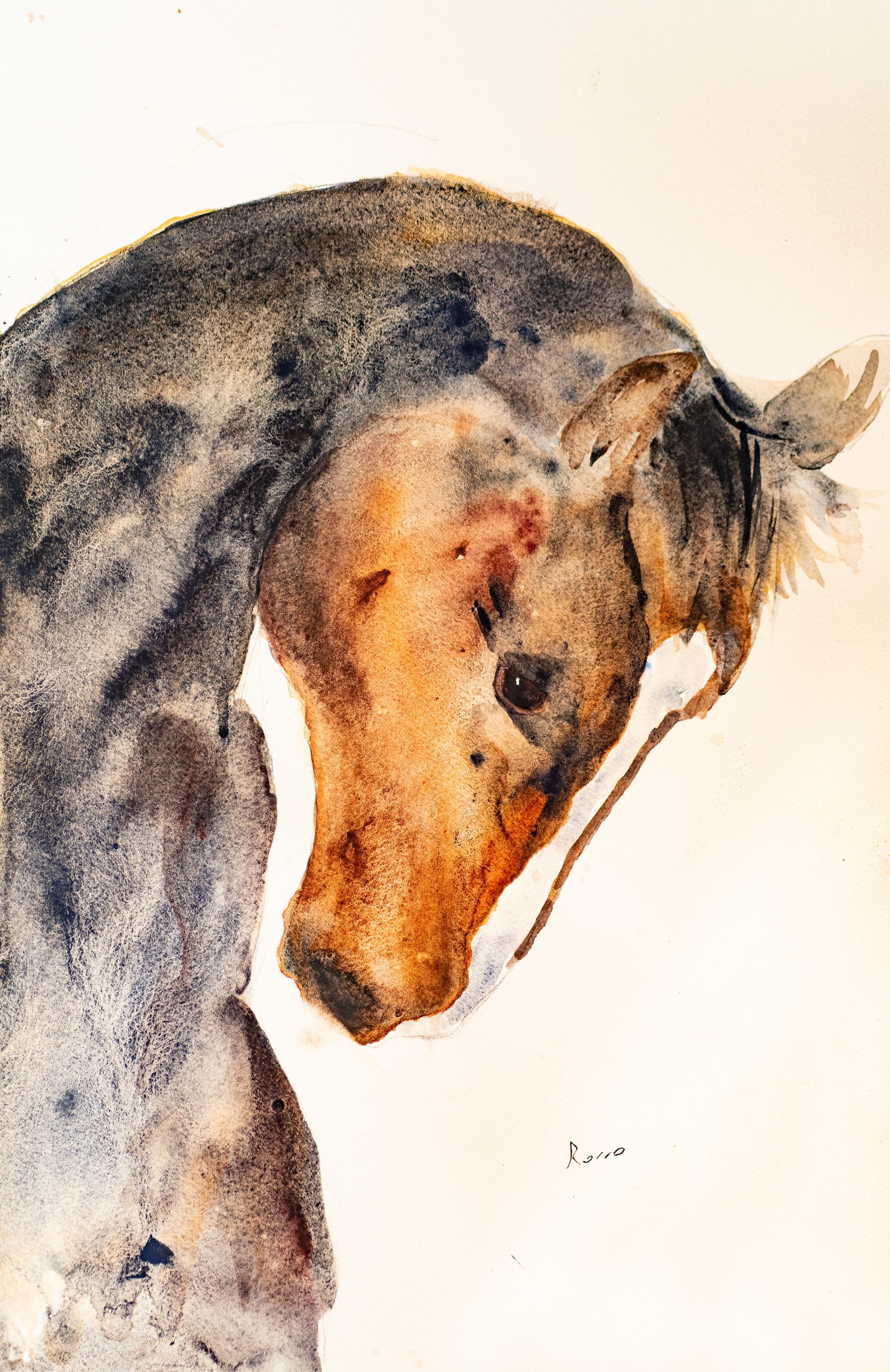 Caballo sin nombre