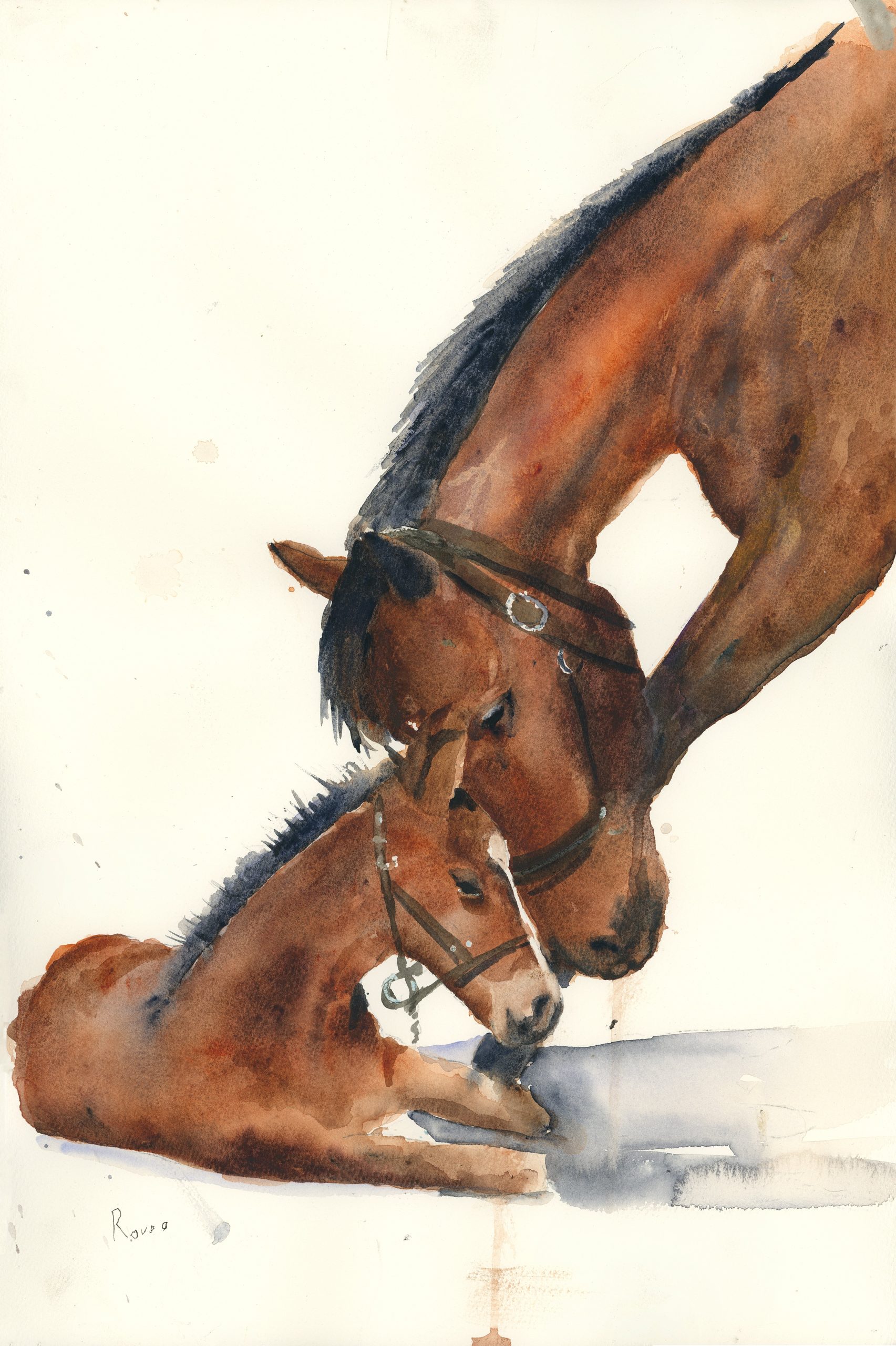 CABALLO Y POTRILLO_1