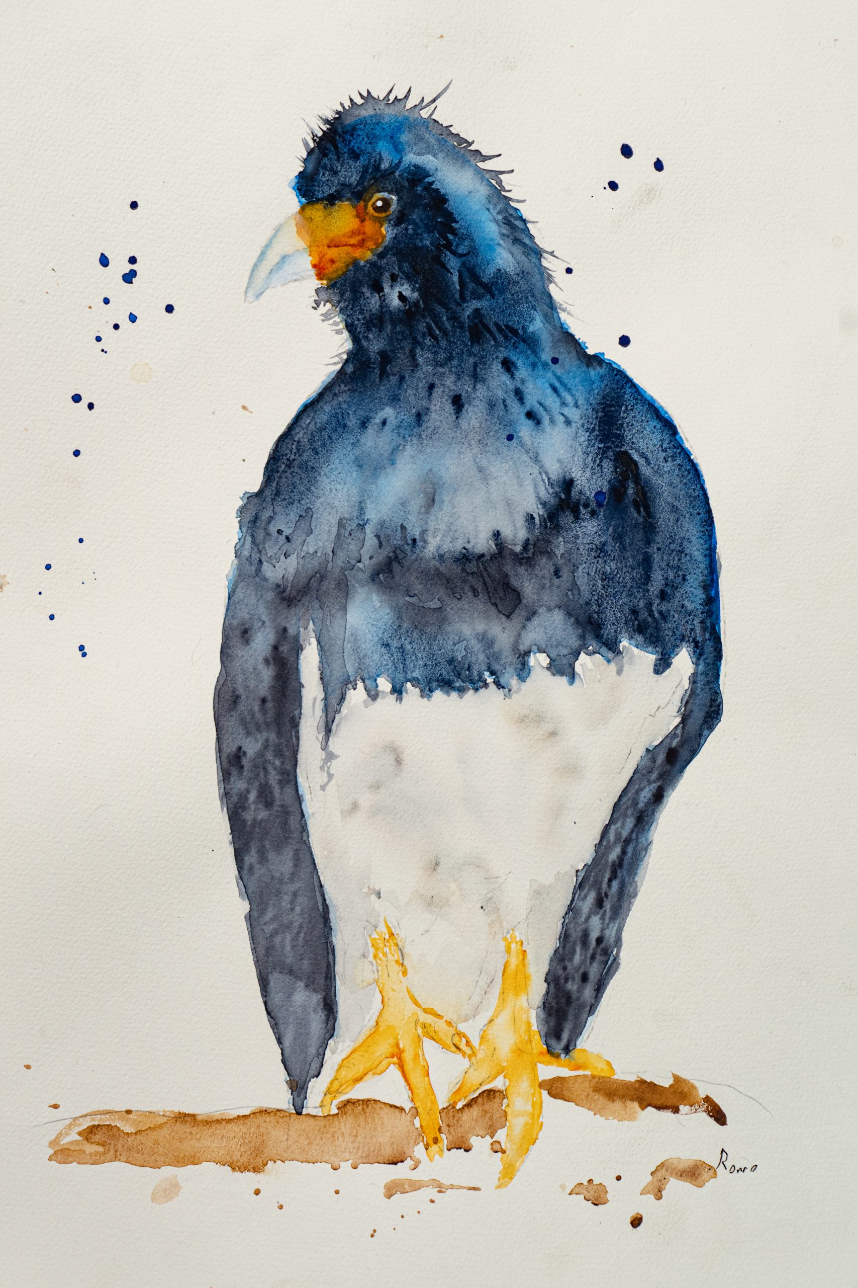 CONDOR