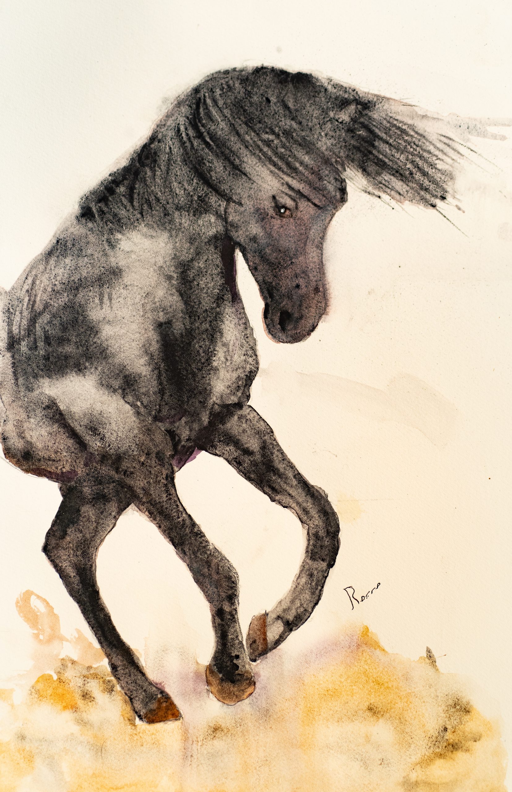 Caballo negro