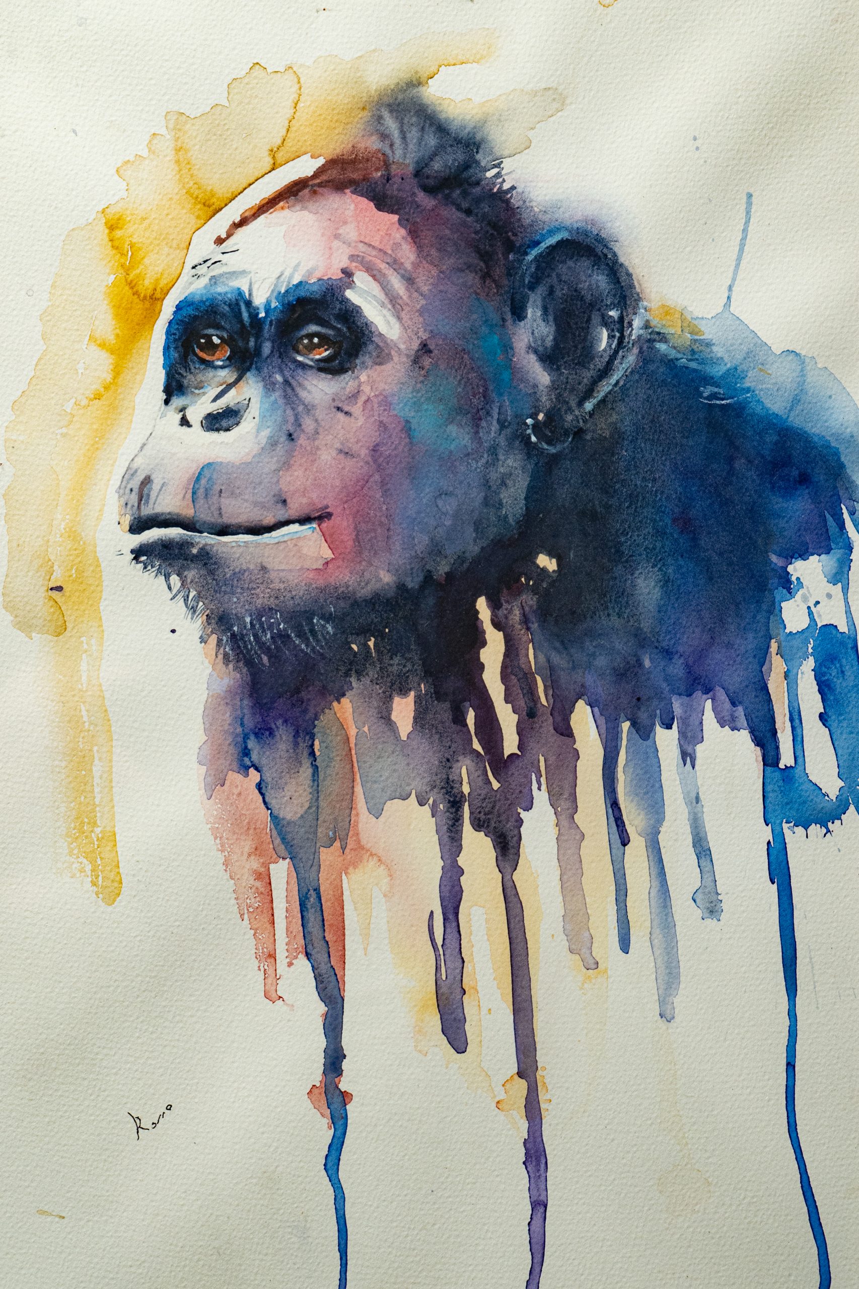 Chimpance