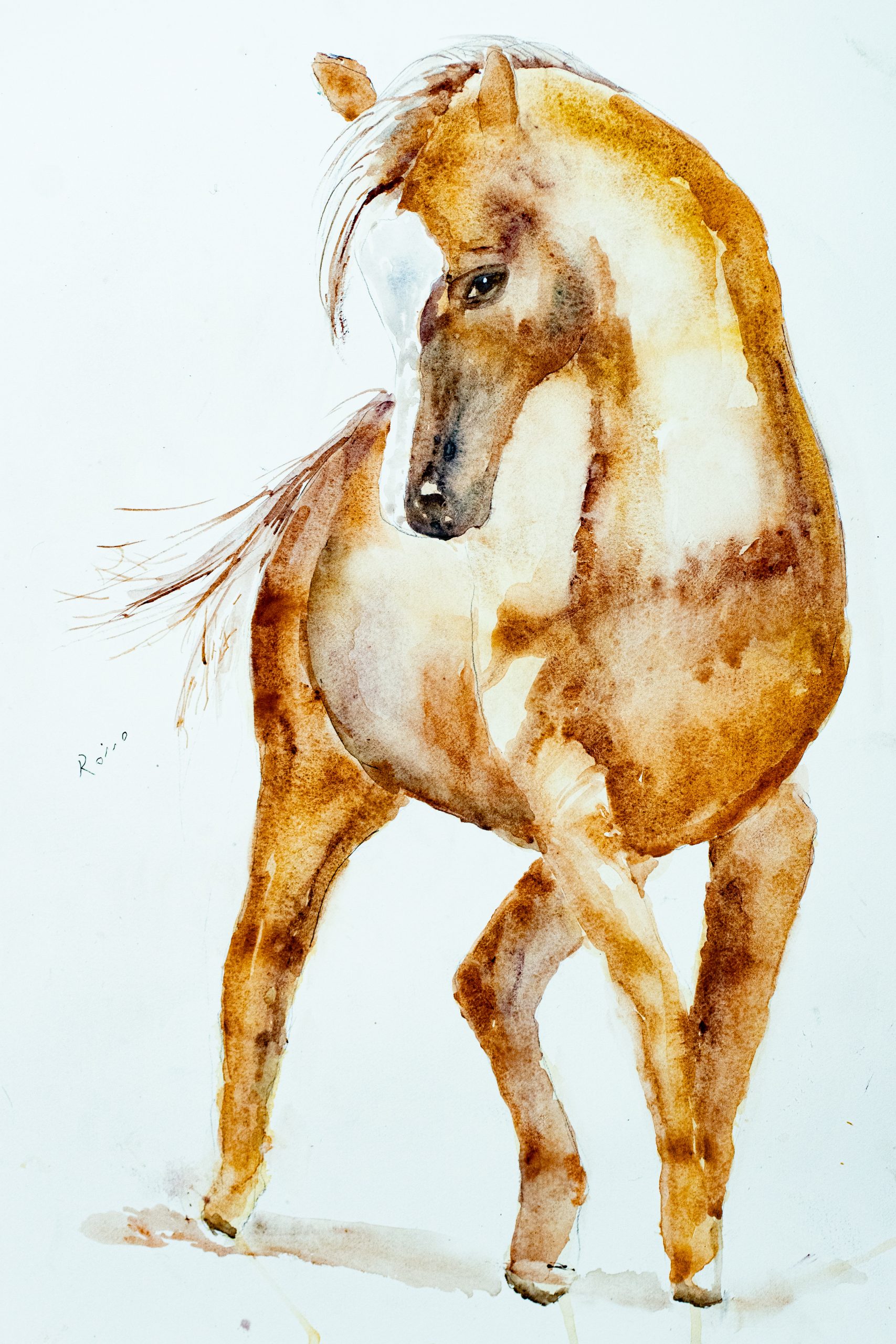 caballo al trote