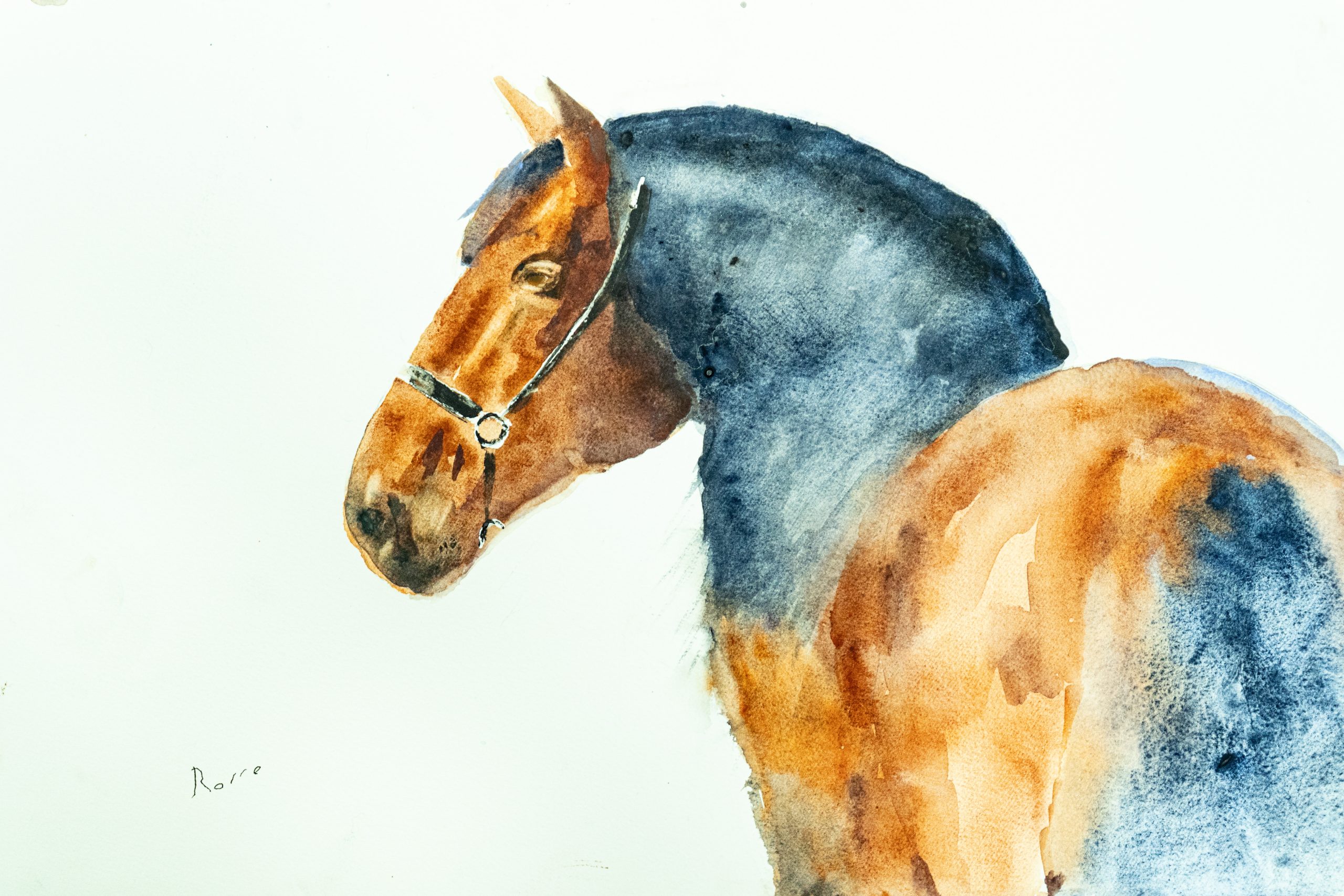 caballo libre
