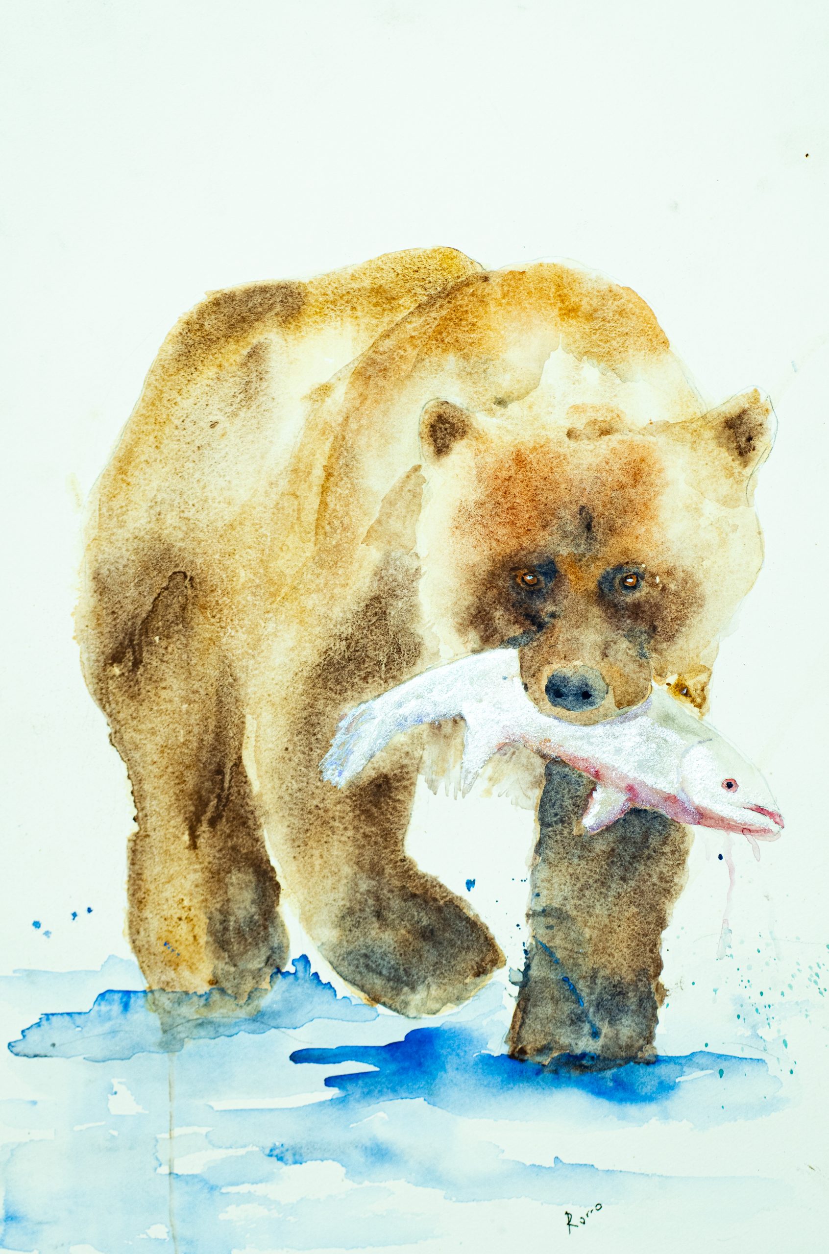 oso cazando a pescado
