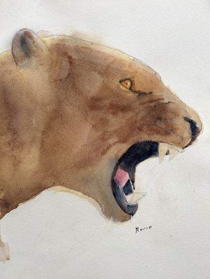 PINTURA ACUARELA PUMA