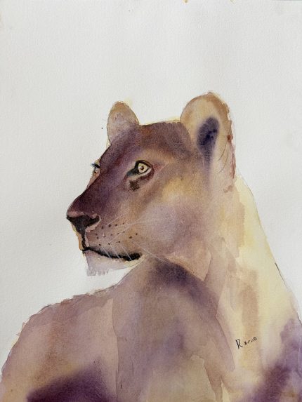 PINTURA ACUARELA LEONA