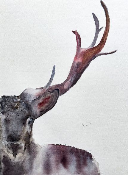 PINTURA ACUARELA SILENCIO SALVAJE