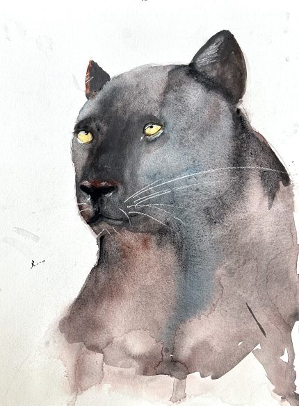 PINTURA EN ACUARELA PANTERA NEGRA