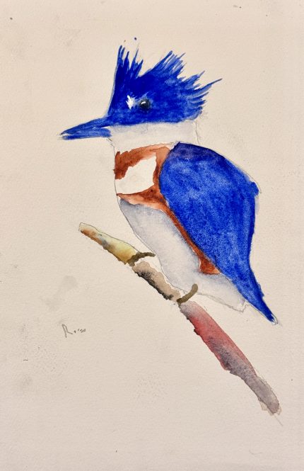 PINTURA EN ACUARELA MARTÍN PESCADOR